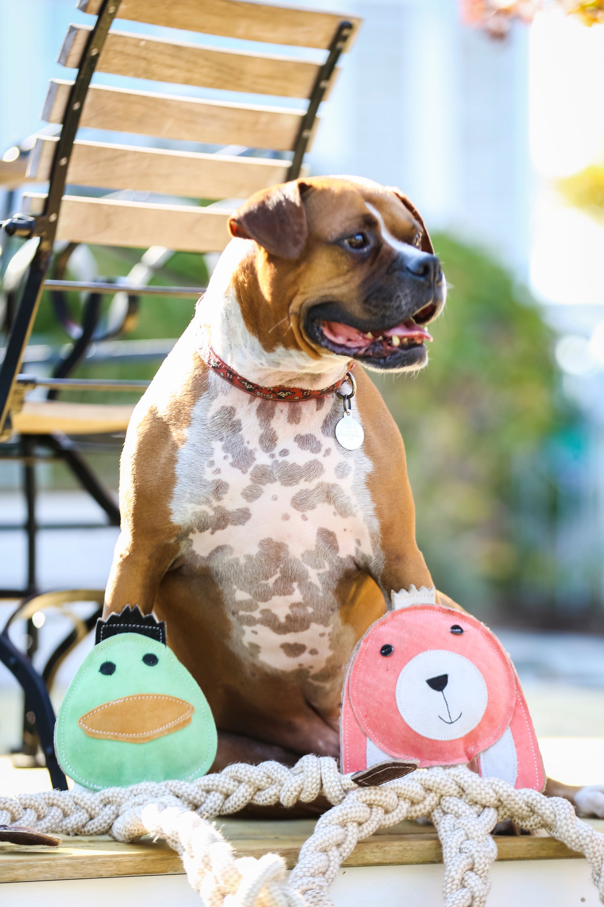 Dog Toy Bitsy Bunny Natural Rope Knottie Toy Large 9mm Essen - lifestyle product image for dog toy