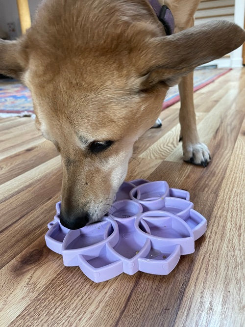 Mandala Softie eTray Shallow Slow Feeder Dog Bowl with