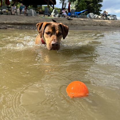 Squeak Ball - Durable Squeaky Dog Toy, Floats, Chew Toy |