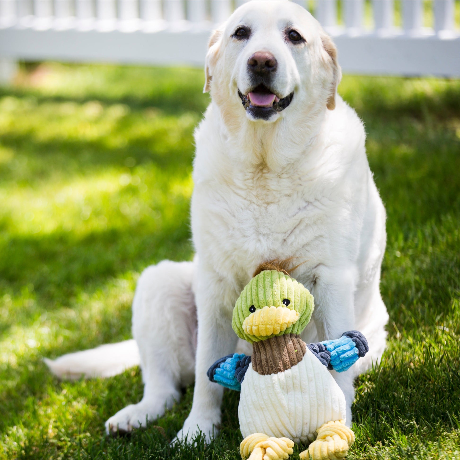 Dog Toy Dilly Duck Knottie Plush Toy for Daily Use Essential - gallery product image for dog toy