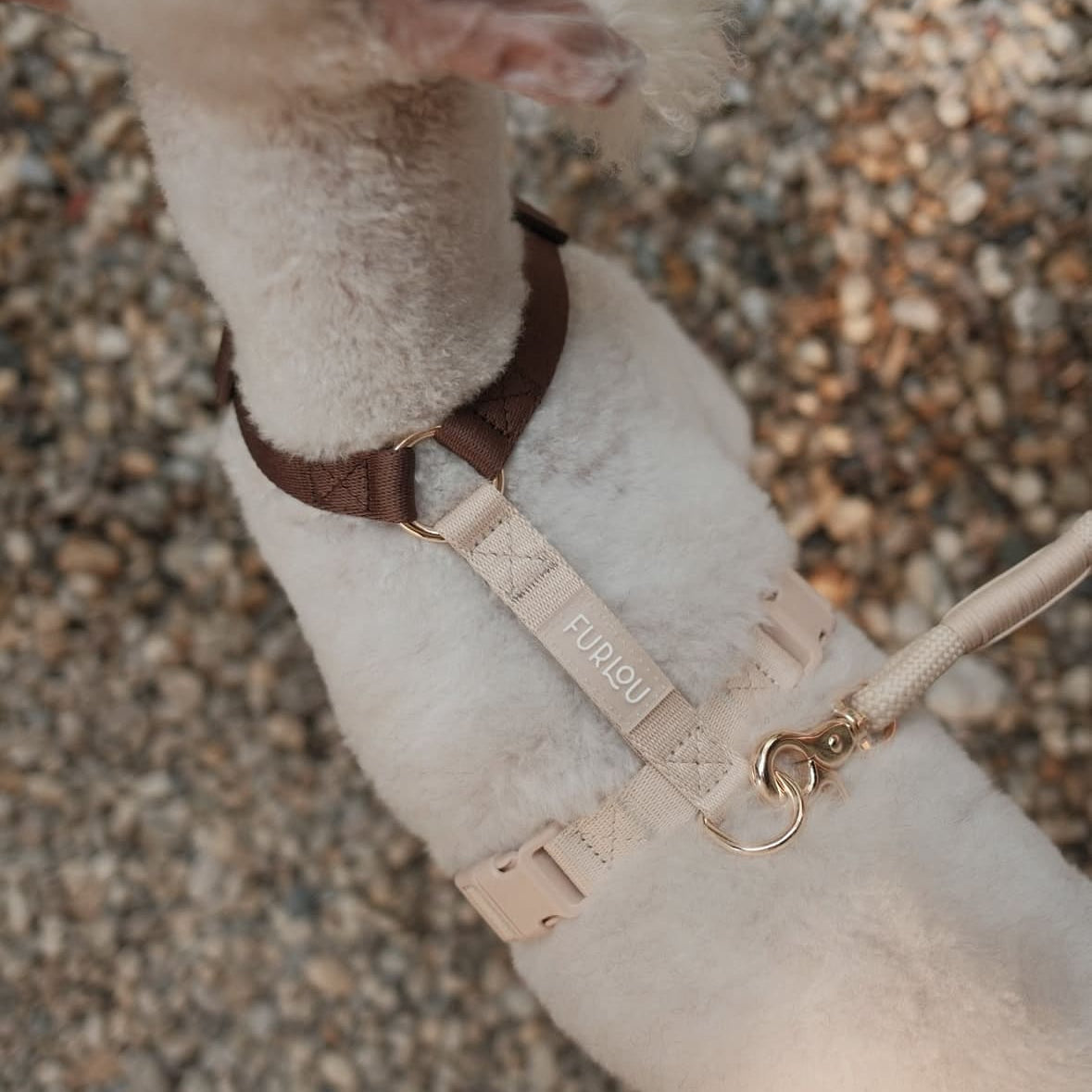 Purrfect Kingdom™ - Brown and Tan - Dog Harness Adjustable