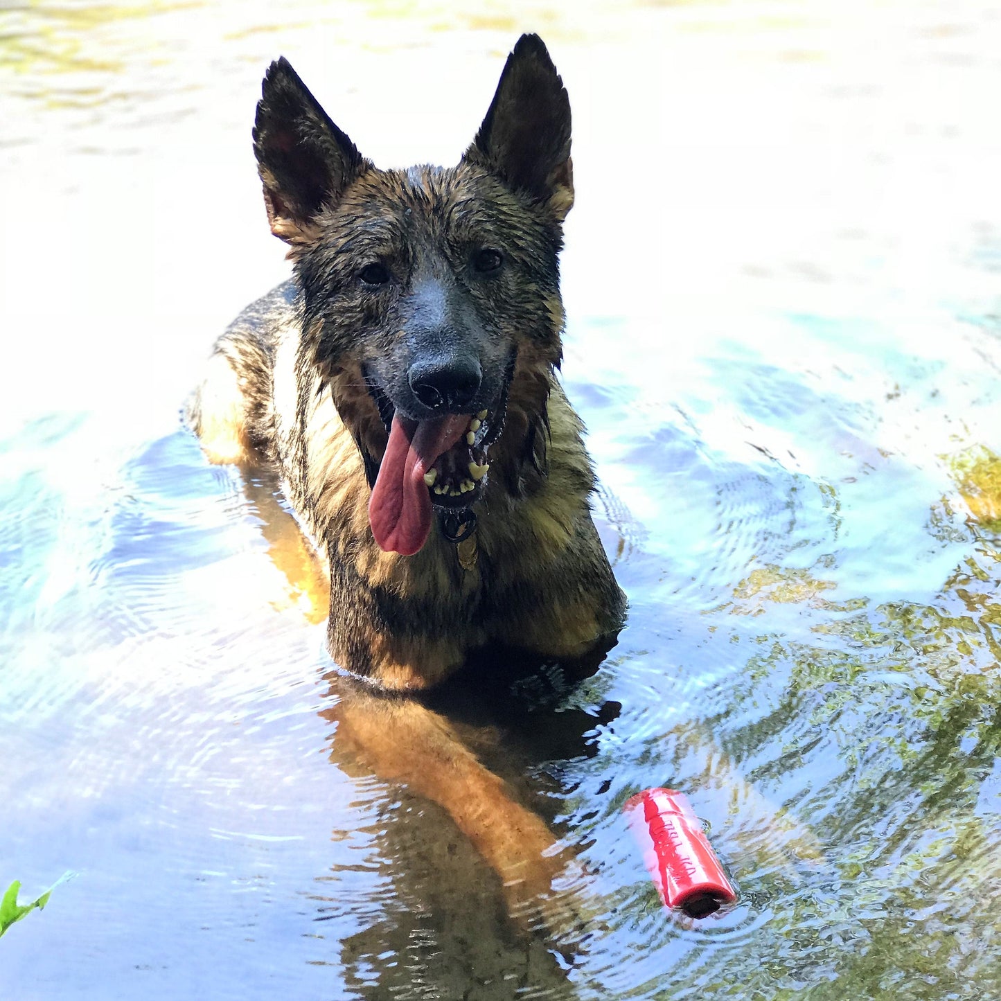 USA-K9 Firecracker Floating Training Dummy | K9 Handler Reward