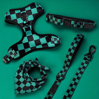 Ichimatsu Checker Leash