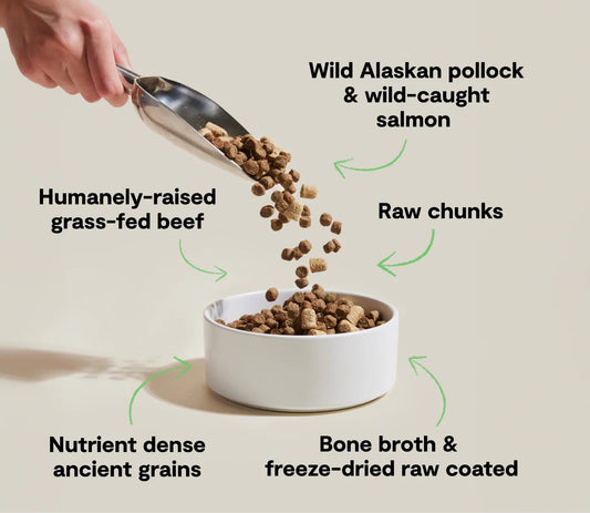 Open Farm RawMix Ancient Grains Dry Dog Food Tide & Terrain 3.5lb