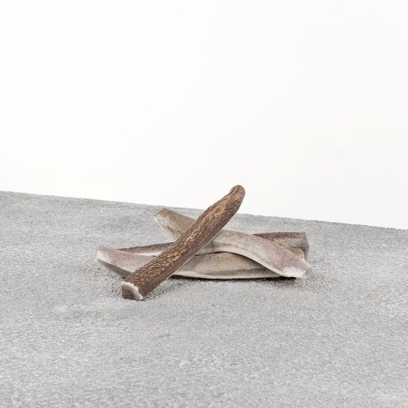 Primal Split Stag Antler - Dog Chews - The Family Pet