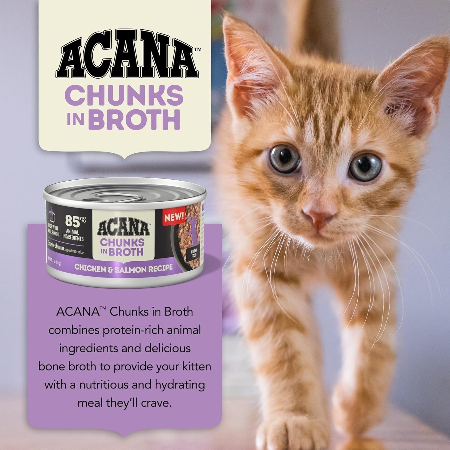 Acana Grain Free Chunks in Broth Kitten Chicken & Salmon Wet Cat Food (3oz) - Acana Wet Cat Food - The Family Pet
