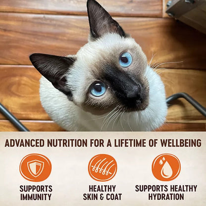 Wellness Core Tiny Tasters Tuna Pate (1.75oz)