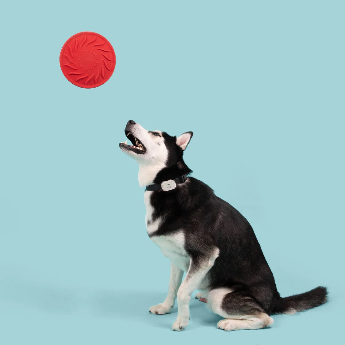 Jolly Pets Jolly Tuff Flyer, Red (8.5in) - Jolly Pets Dog Toys - The Family Pet