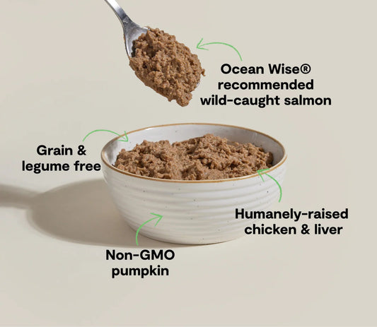 Open Farm Grain Free Chicken & Salmon Pate For Cats (2.8oz)