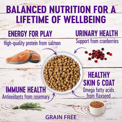 Wellness Complete Health Indoor Healthy Weight Chicken & Turkey Dry Cat Food (5.5lb)