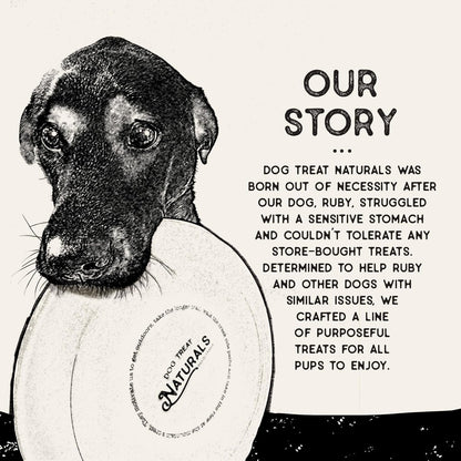 Dog Treat Naturals Chickpea & Mint Dental Sticks Dog Treats