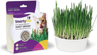 SmartyKat Sweet Greens Organic Oat Cat Grass Grow Kit