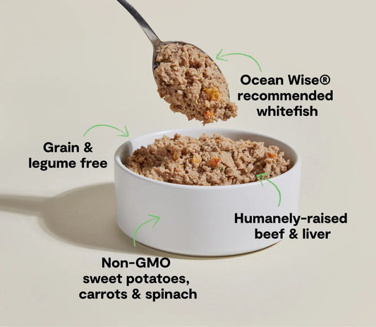 Open Farm Grain Free Surf & Turf Pate Premium Wet Dog Food 12.5oz