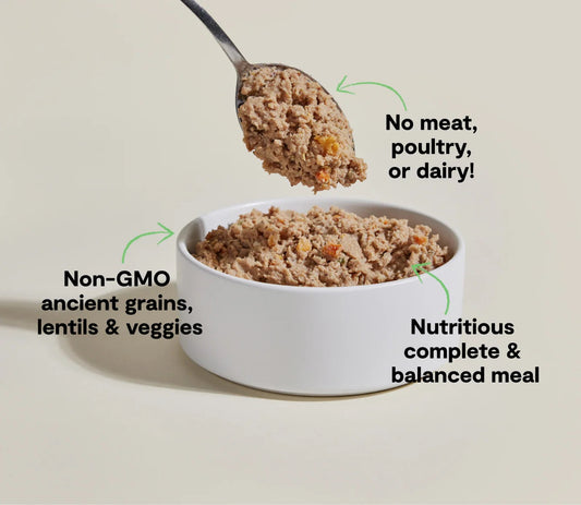 Open Farm Kind Earth Plant Based Wet Dog Food With Ancient Grains