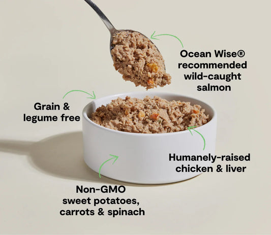 Open Farm Grain Free Chicken & Salmon Pate Wet Dog Food (12.5oz)