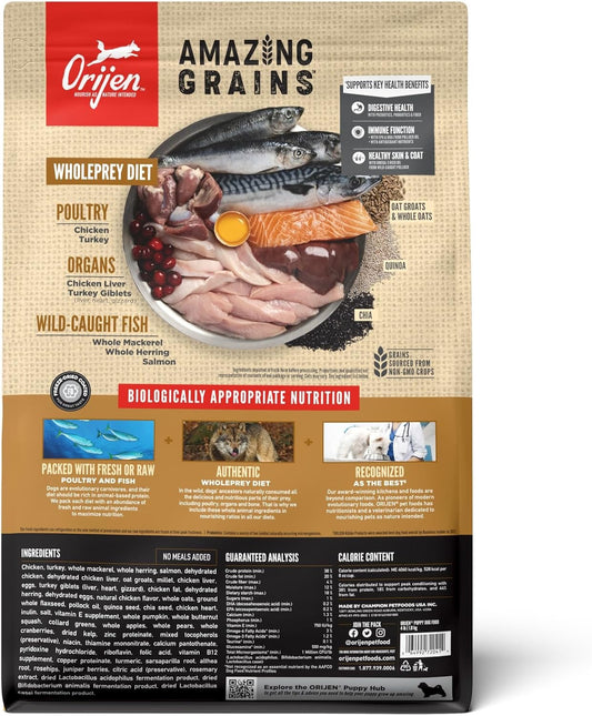 Orijen Amazing Grains Puppy Dry Dog Food - Dry Dog Food - The Family Pet