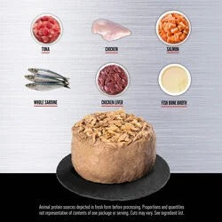 Wet Cat Food Tuna Salmon Beef Entree 3 Oz Orijen ✅