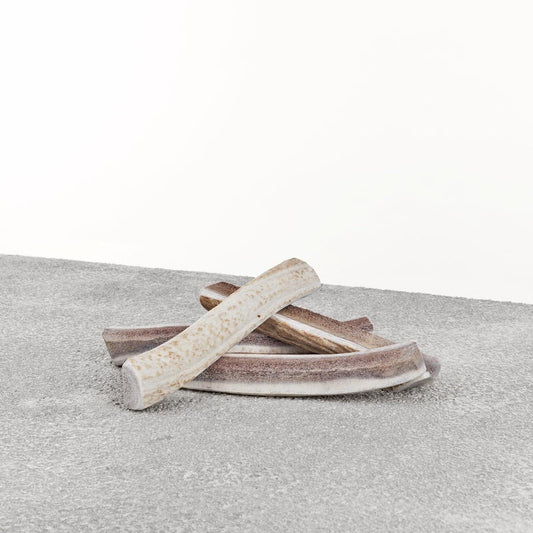 Primal Split Elk Antler - Dog Chews - The Family Pet