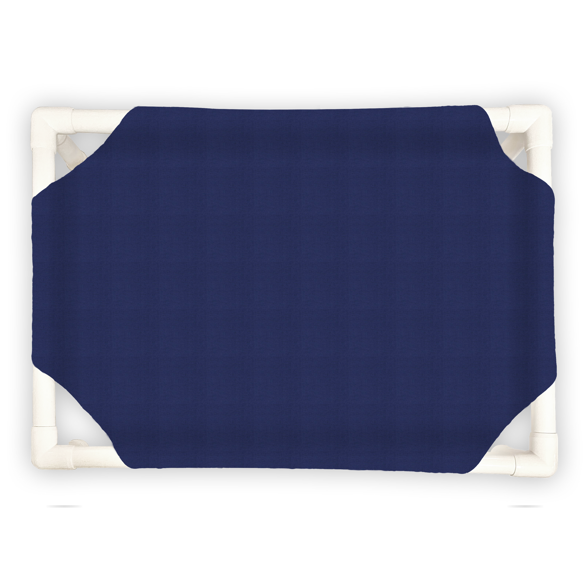 Indigo - The Family Pet