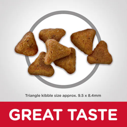 Hill's Science Diet Adult Indoor Chicken Recipe Dry Cat Food Bag - Science Diet Dry Cat Food - The Family Pet