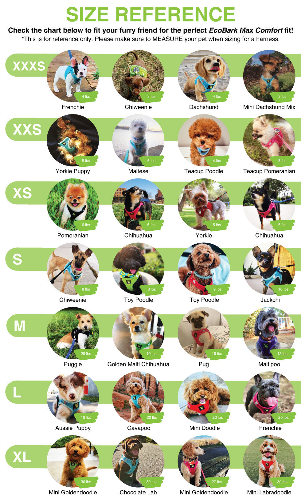 Dog Harness EcoBark Step In Harness XXXS to Small Breeds- - gallery product image for dog harness