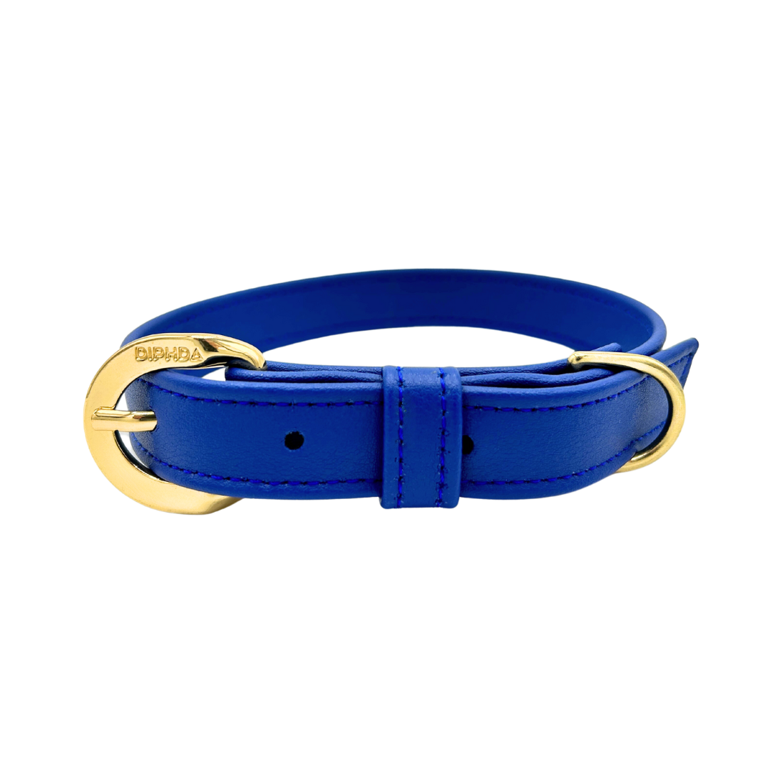 Galactic Blue Cactus Collar - Purrfect Pet Kingdom