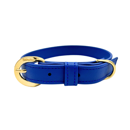 Galactic Blue Cactus Collar - Purrfect Pet Kingdom