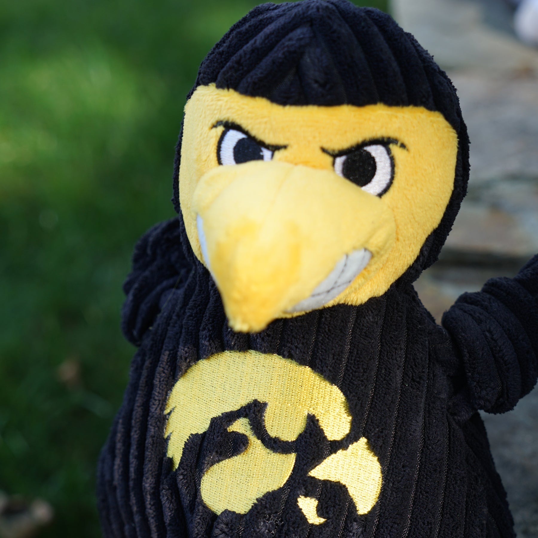 Dog Toy NCAA University of Iowa Herky the Hawk Knottie Essen - size and texture image for dog toy