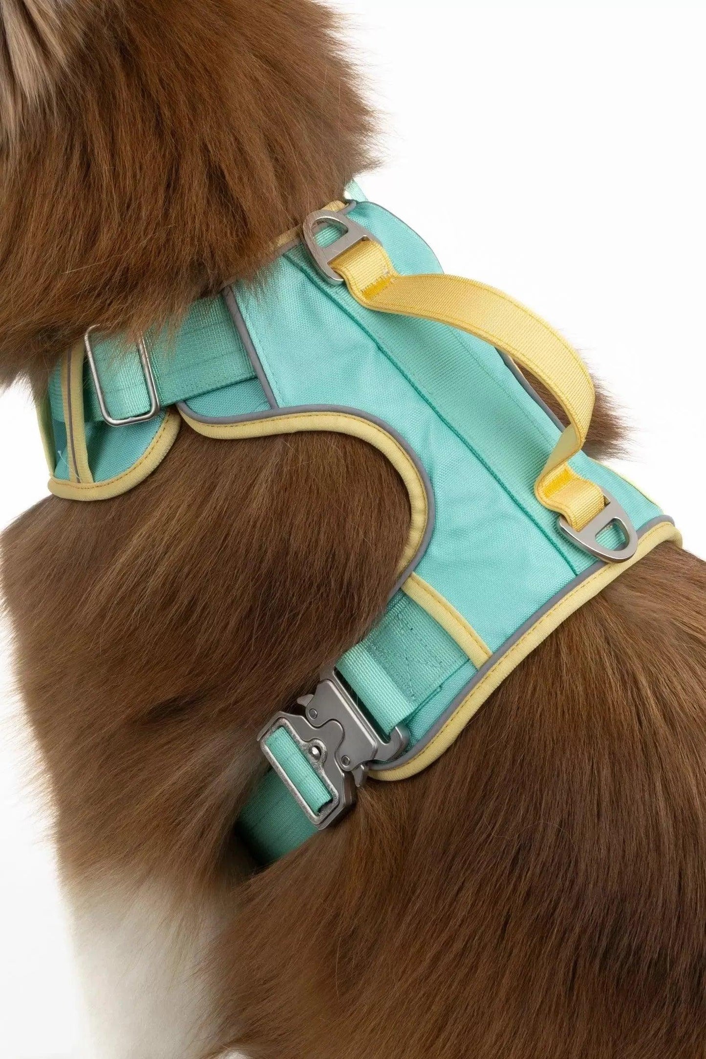 Island Vibes Ultimate Dog Harness - Purrfect Pet Kingdom