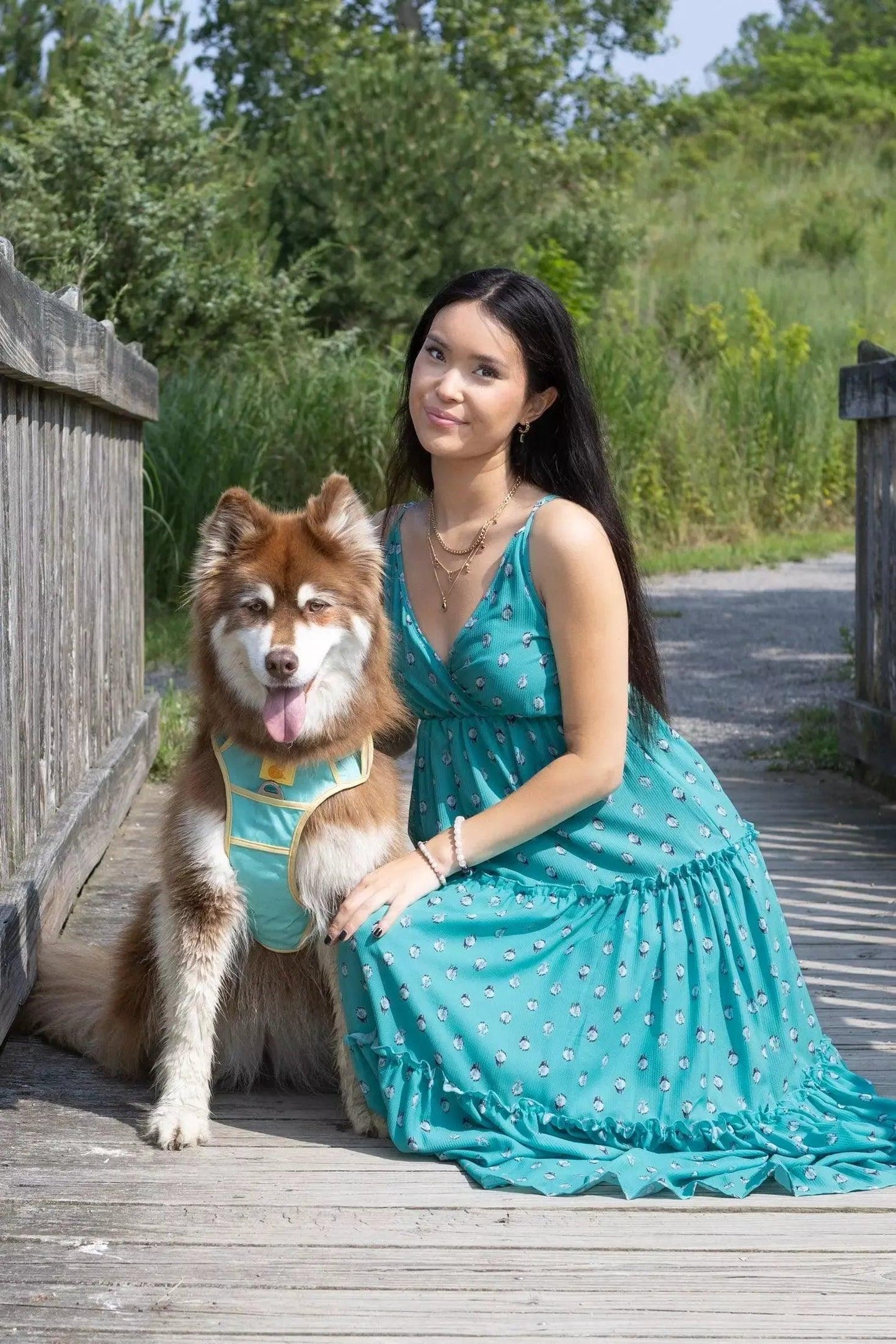 Island Vibes Ultimate Dog Harness - Purrfect Pet Kingdom