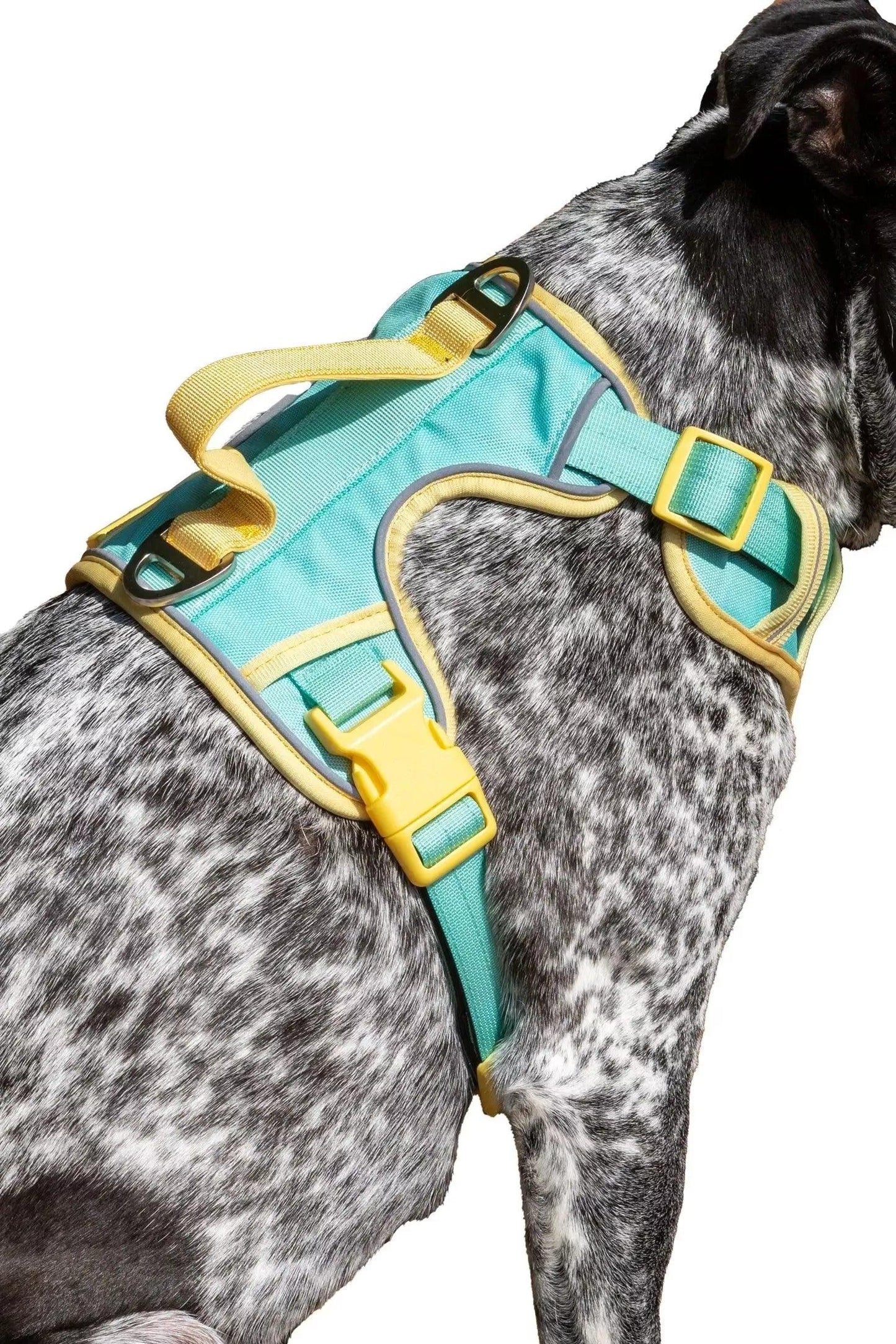 Island Vibes Ultimate Dog Harness - Purrfect Pet Kingdom