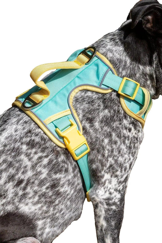 Island Vibes Ultimate Dog Harness - Purrfect Pet Kingdom