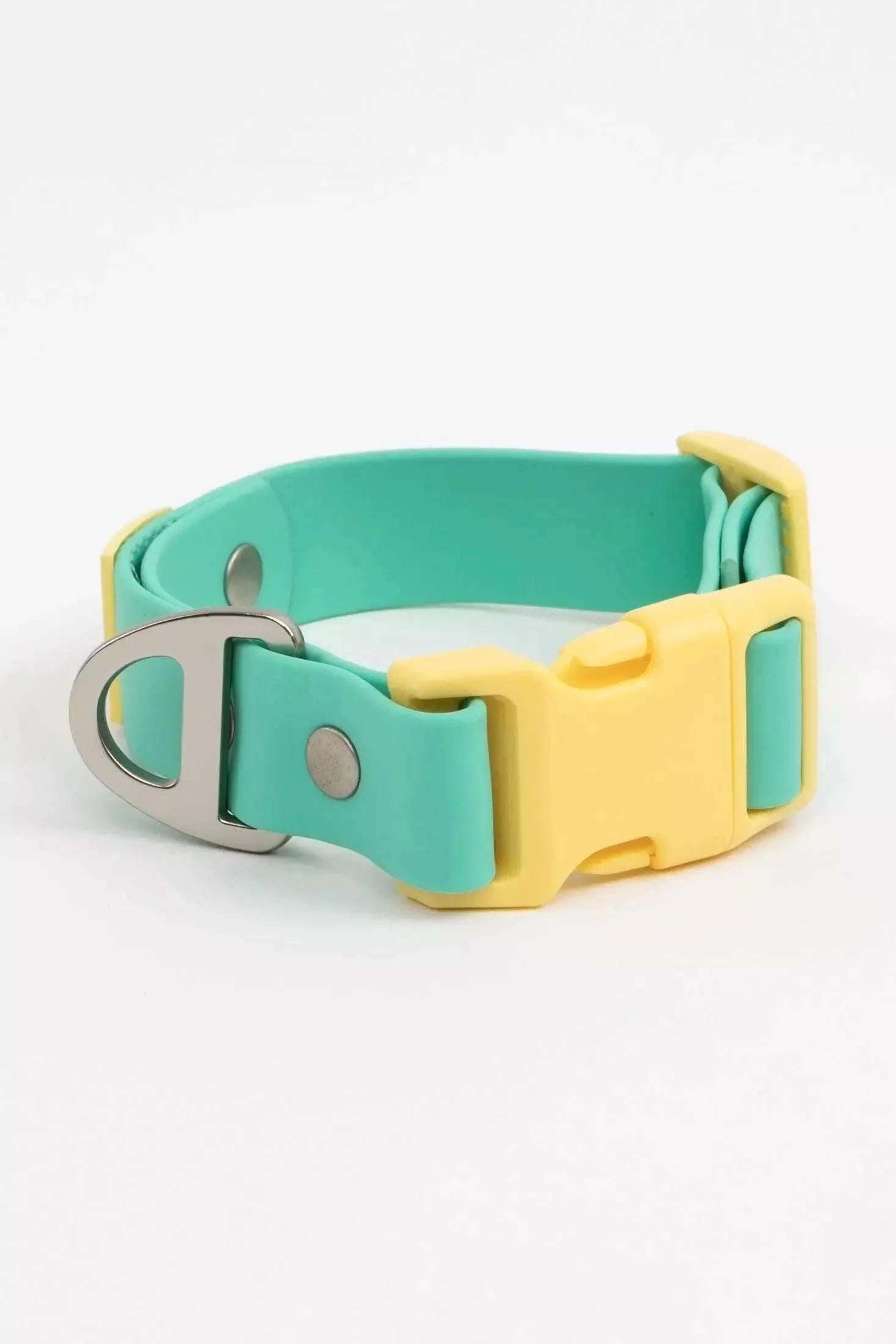 Island Vibes Waterproof Dog Collar - Dog Collar - Aria the Fox - Aqua / Sunshine Yellow - 11 - 13 - CO24IV01