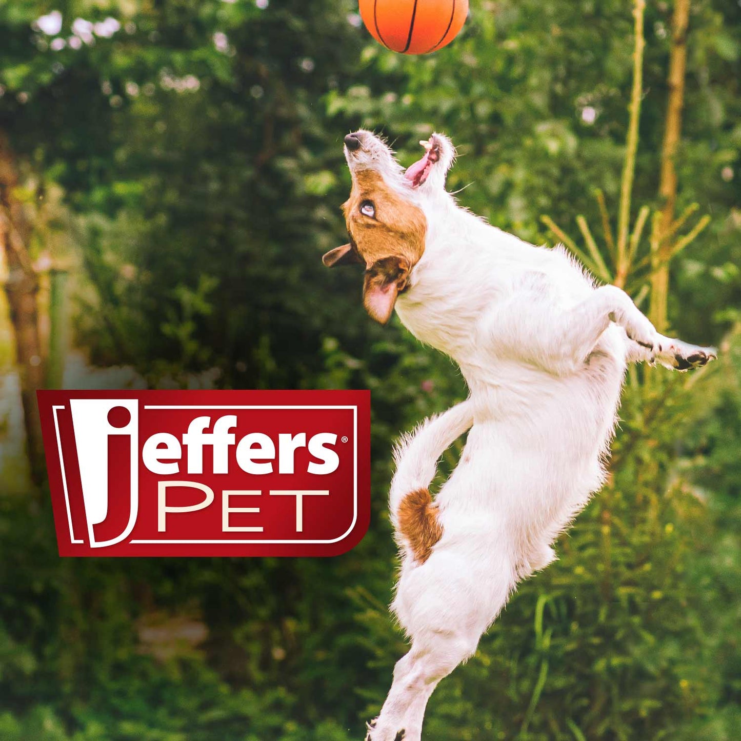 Jeffers Red Chameleon Natural Eco-Friendly Rubber Dental Dog