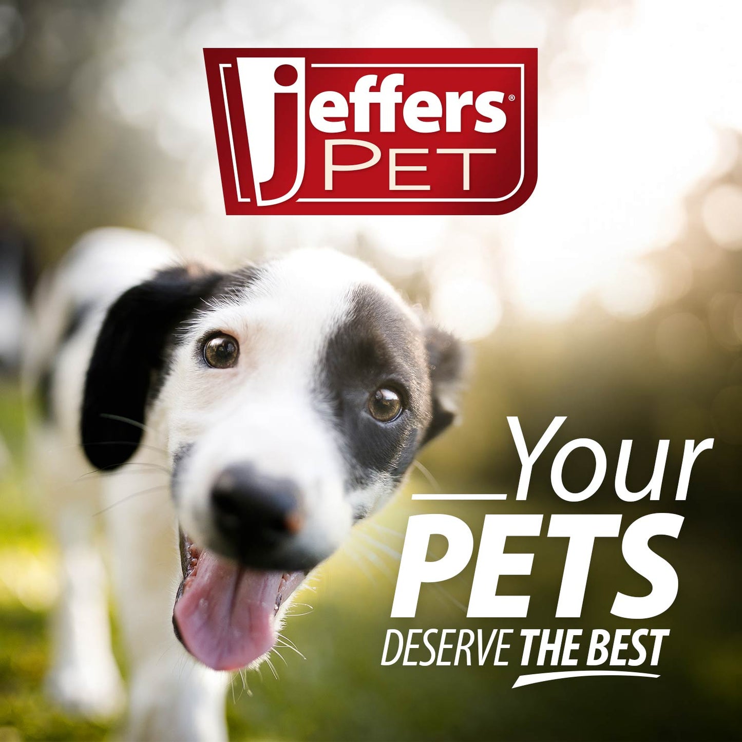Jeffers Pet Apple Oatmeal All-Natural Hypoallergenic Dry Ski