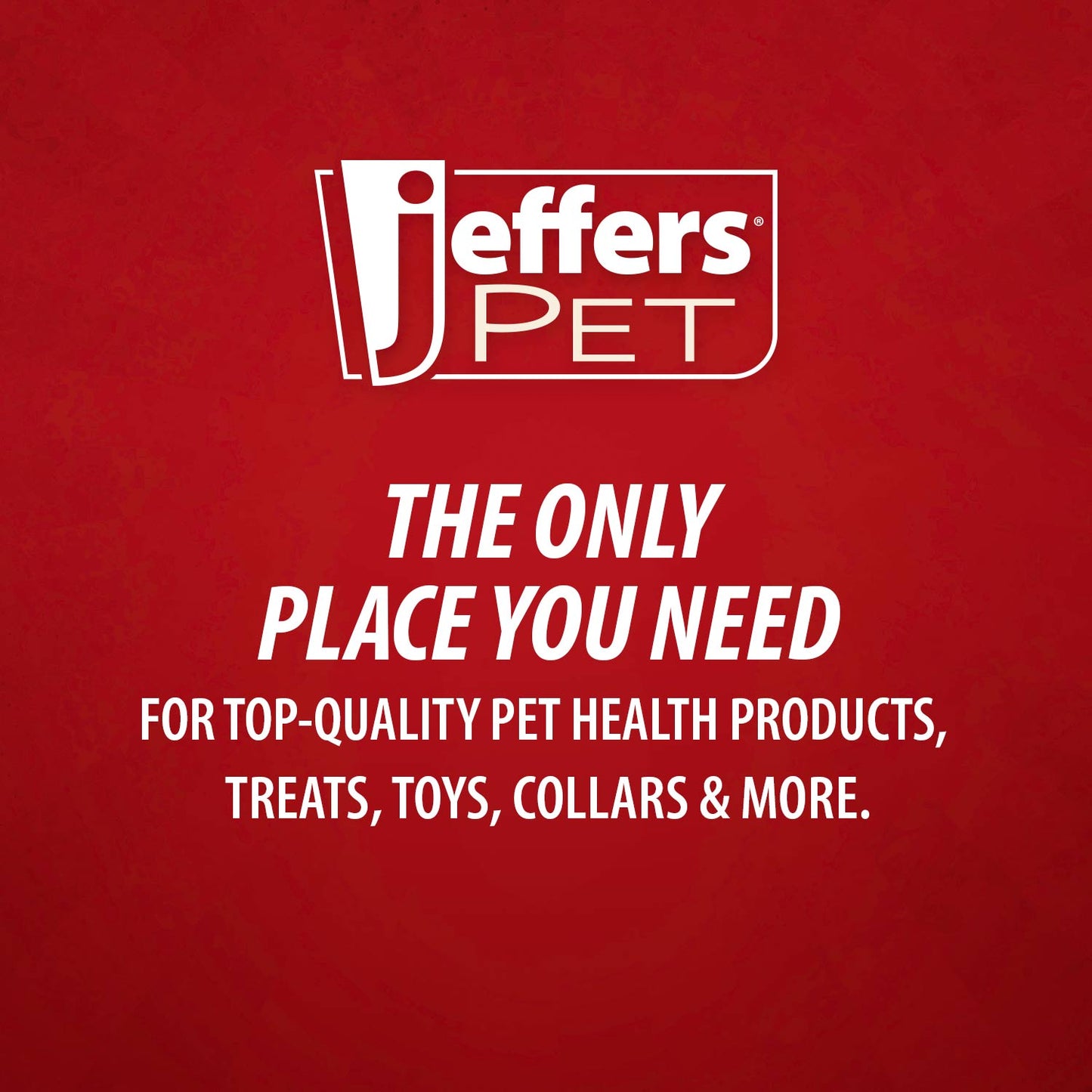 Jeffers Cactus Natural Rubber Dental Chew Toy for Dogs for