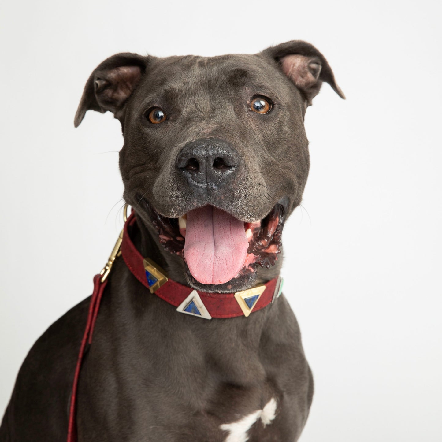 Ruby Red Cork Leather Collar - Purrfect Pet Kingdom