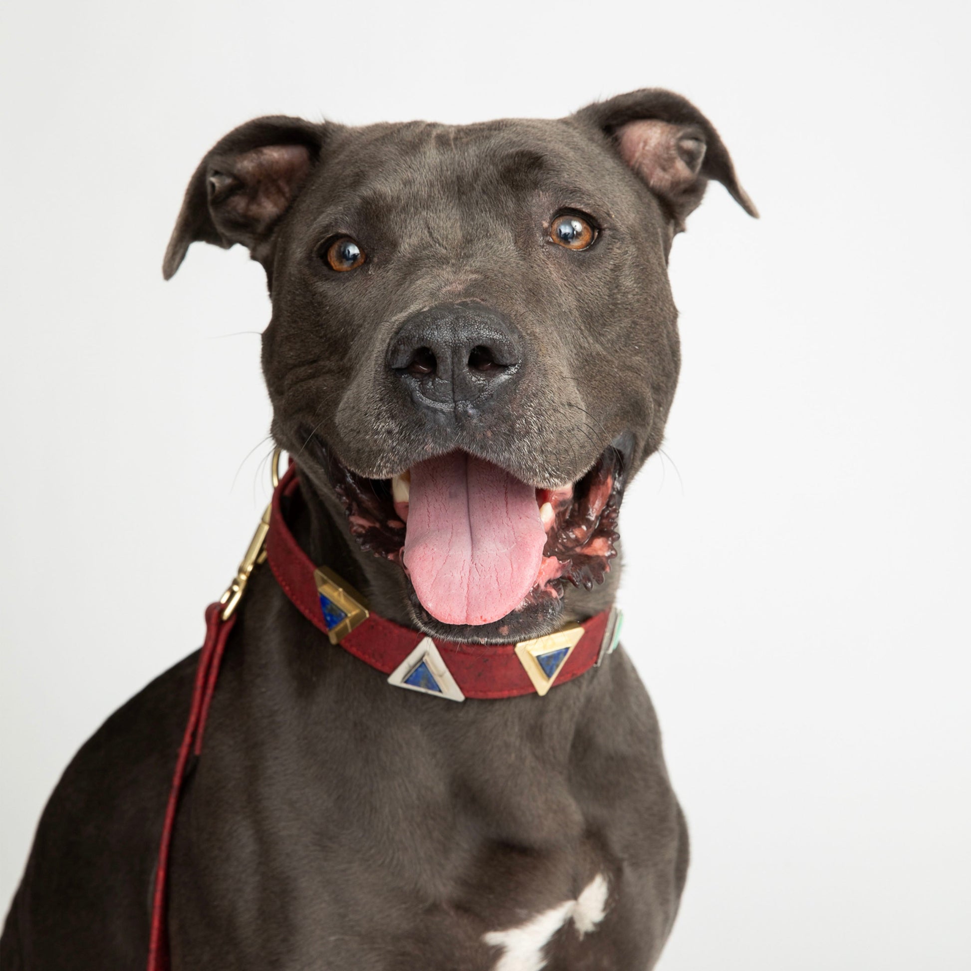 Ruby Red Cork Leather Collar - Purrfect Pet Kingdom