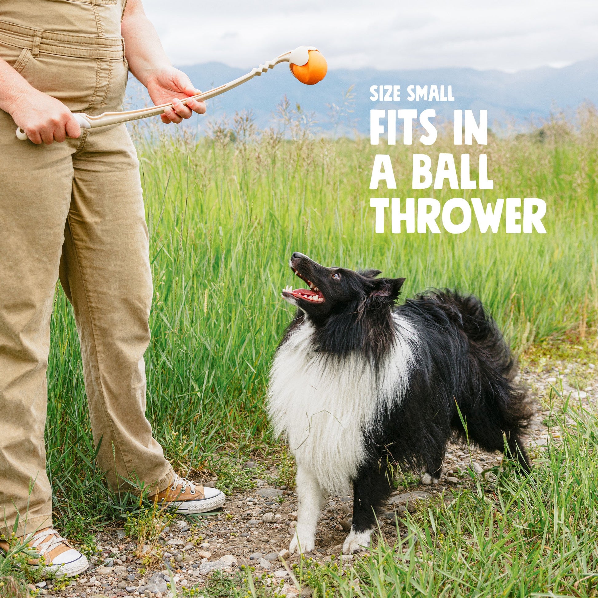 Pet Toy Toy Jive for for Daily Use for Comfort for Pet Care - gallery product image for pet toy