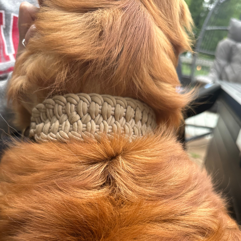 Josephine Braid Handmade Dog Collar - Customize Your Colors