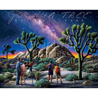 Joshua Tree National Park 500 Piece Jigsaw Puzzle Boardwalk