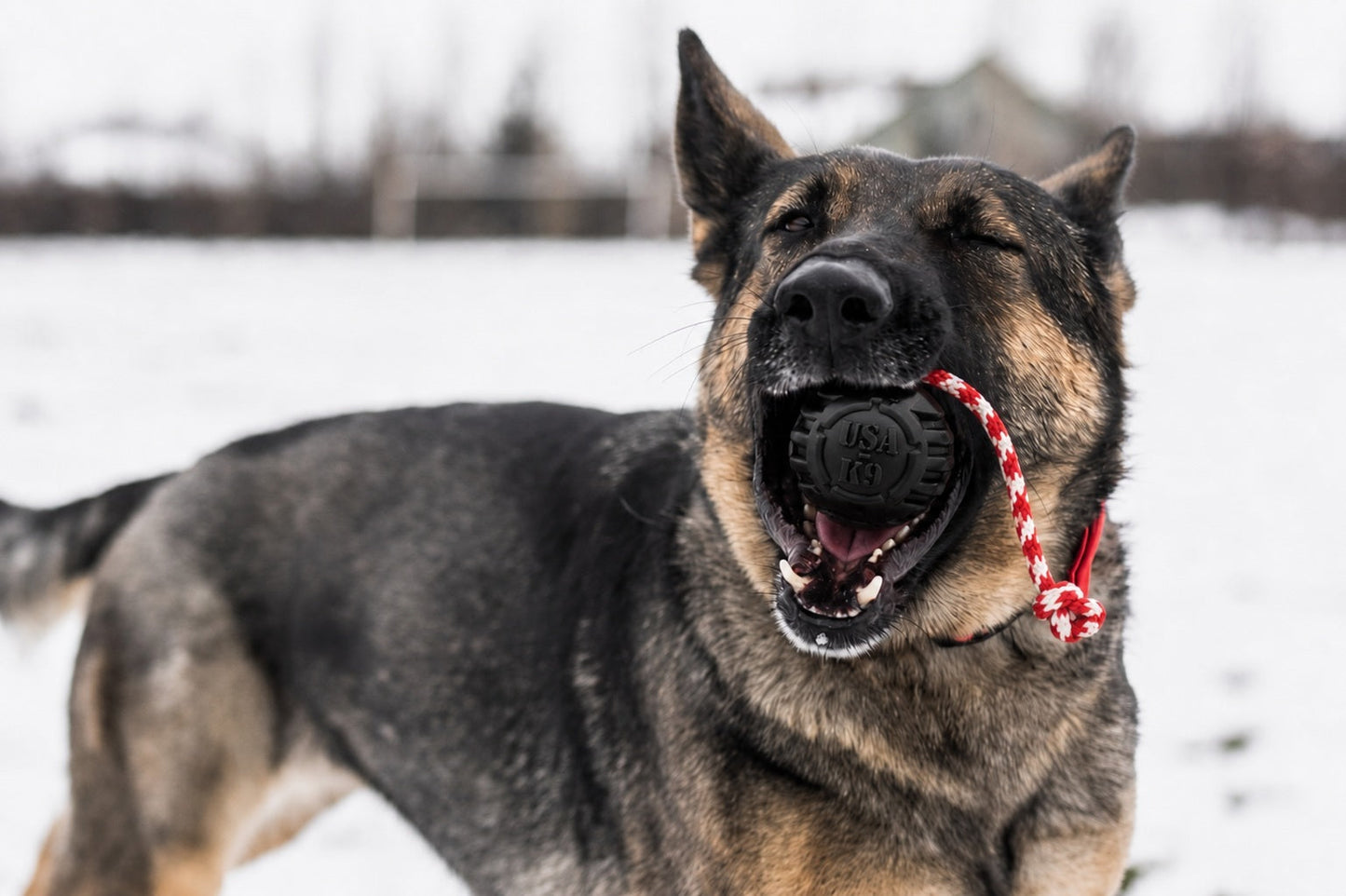 USA-K9 Magnum Stars and Stripes Rubber toy | K9 Handler