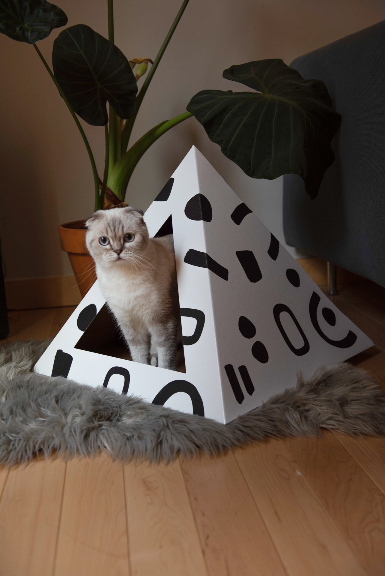 'Doodle' Cardboard Cat Pyramid - KittyKardboard