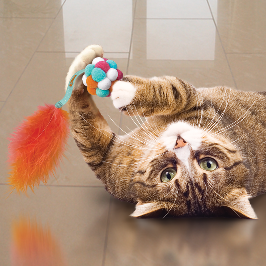 Kong Cat Active Bubble Ball