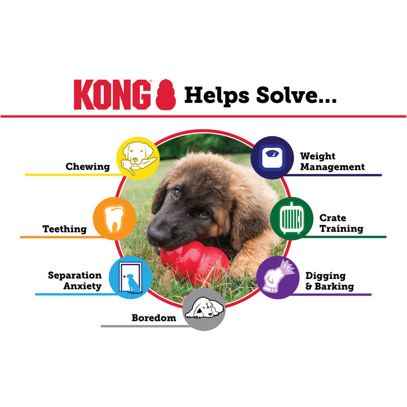 Kong Red Classic - Dog Toys - The Family Pet
