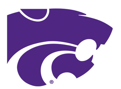 Willie the Wildcat Durable Interactive Dog Toy for Playtime