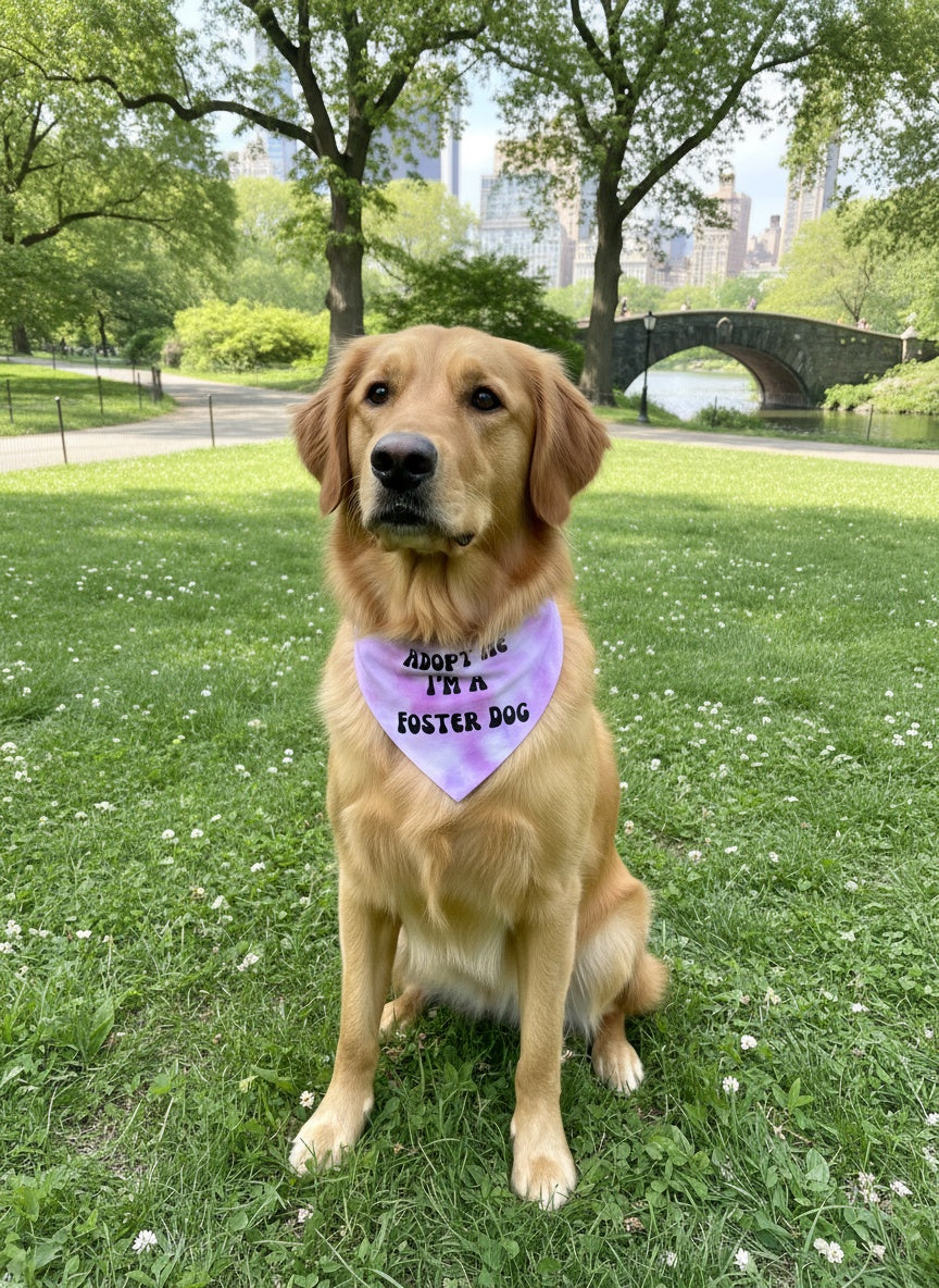 Dog Apparel Adopt Me I'm A Foster Tie Dye Dog Bandana New Ar