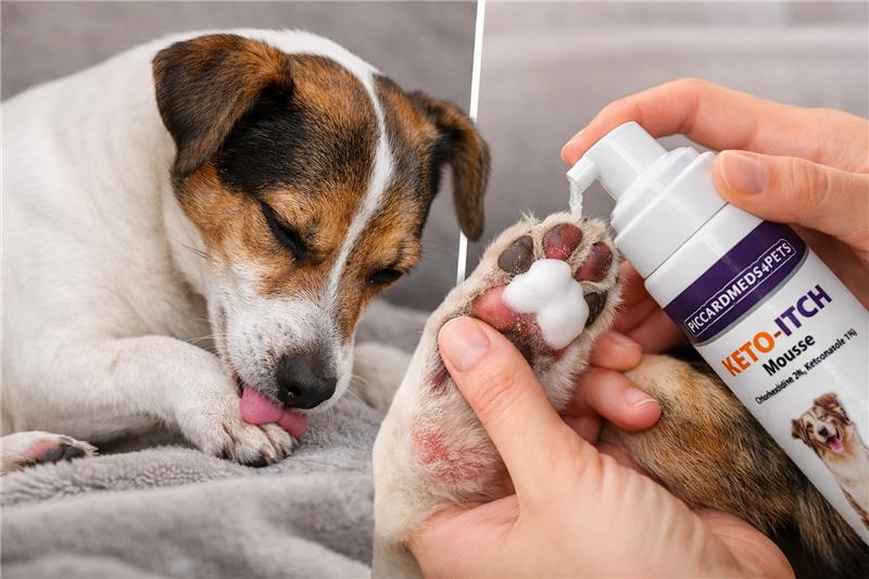Piccardmeds4pets Keto-Itch Plus Antiseptic Mousse for Cats &