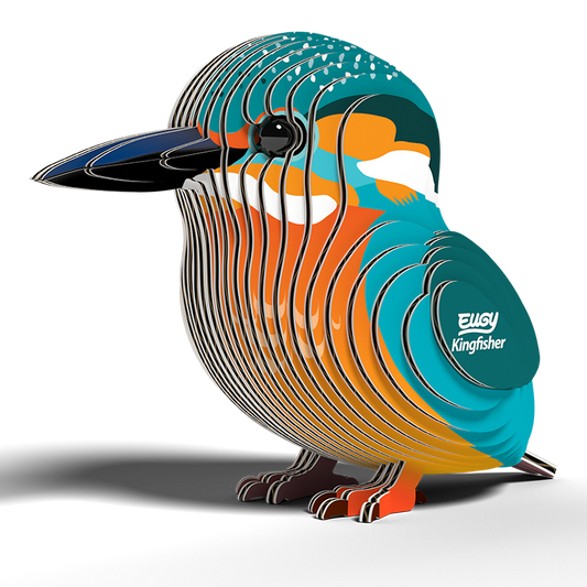 Kingfisher 3D Cardboard Model Kit Eugy