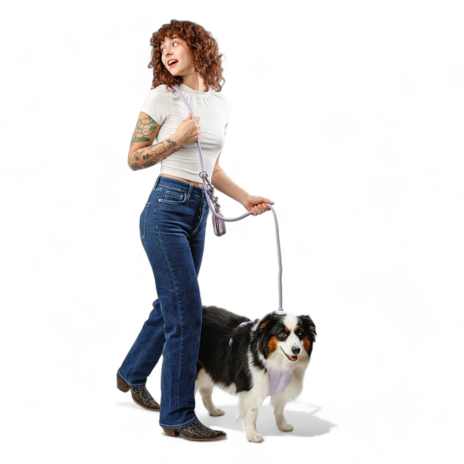 Kismet Dog Leash - Pet Leashes - Come Here Buddy